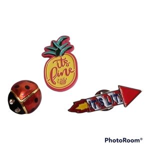 Lapel Pin Set Pineapple Lady Bug Fireworks/Rocket Hat Pin Set of 3